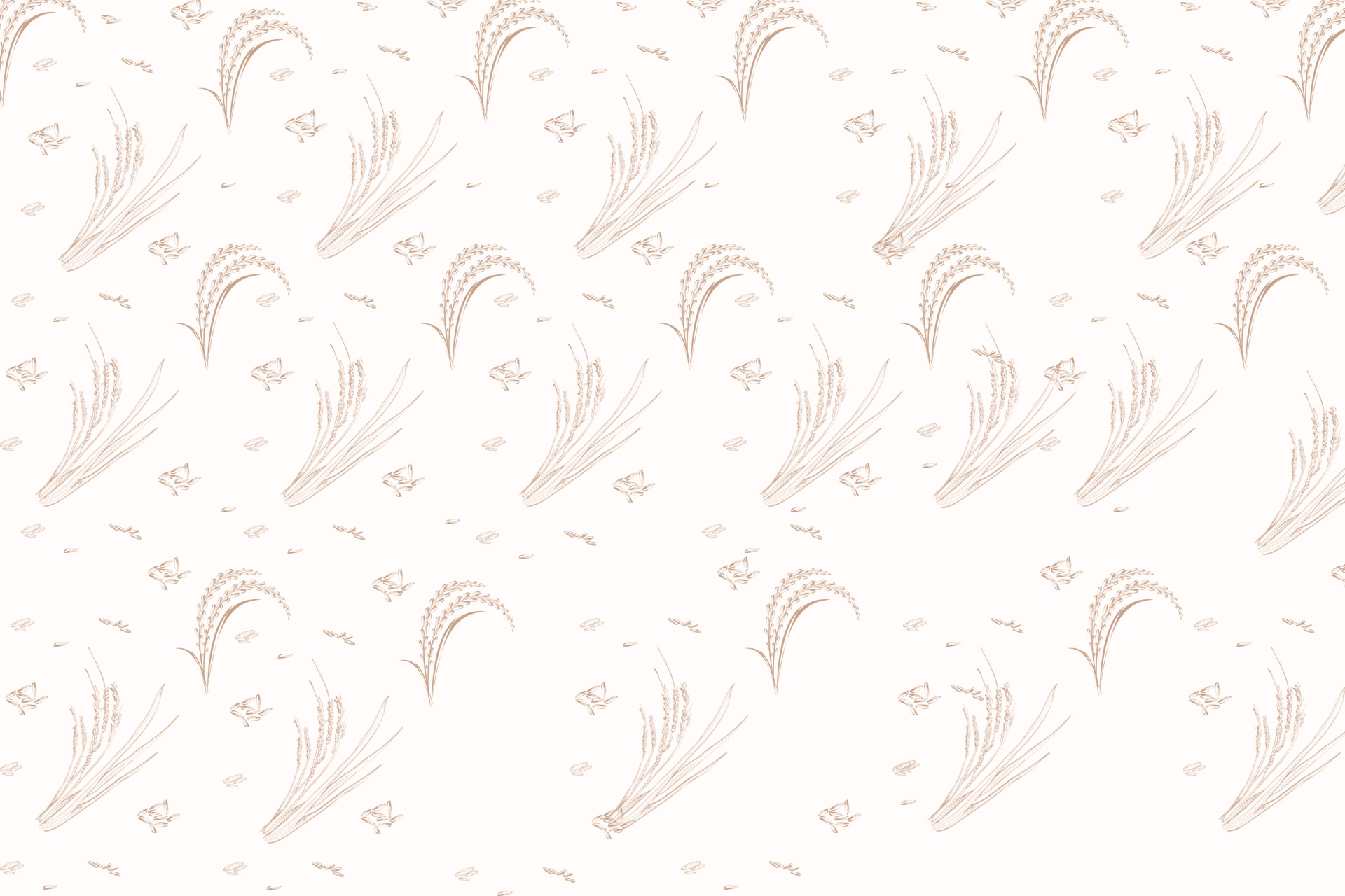 bg-Rice-Graphic- ข้าวหงษ์ทอง
