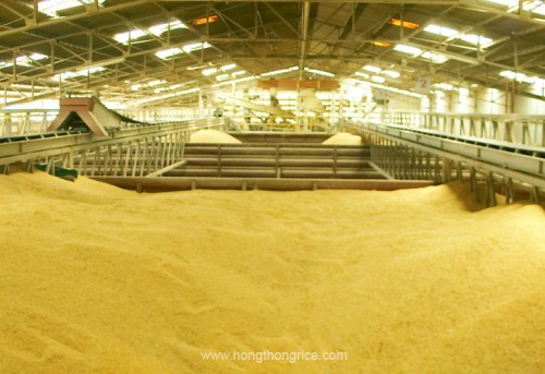 img-Hognthong-Rice-Tacnology-1