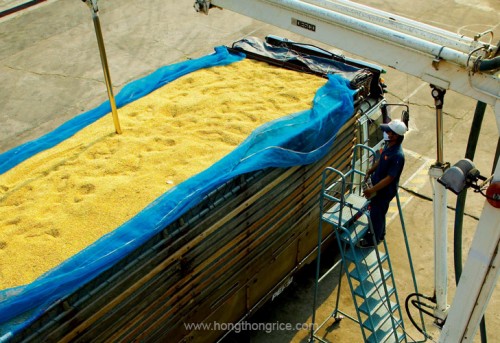 img-Hognthong-Rice-Tacnology-2