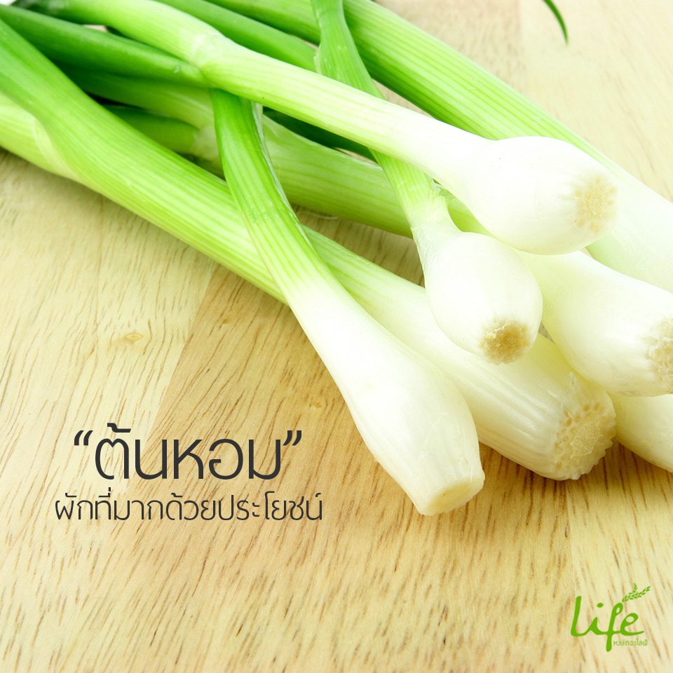 ต้นหอม : ประโยชน์และสรรพคุณที่ได้จากต้นหอมต้านมะเร็ง
