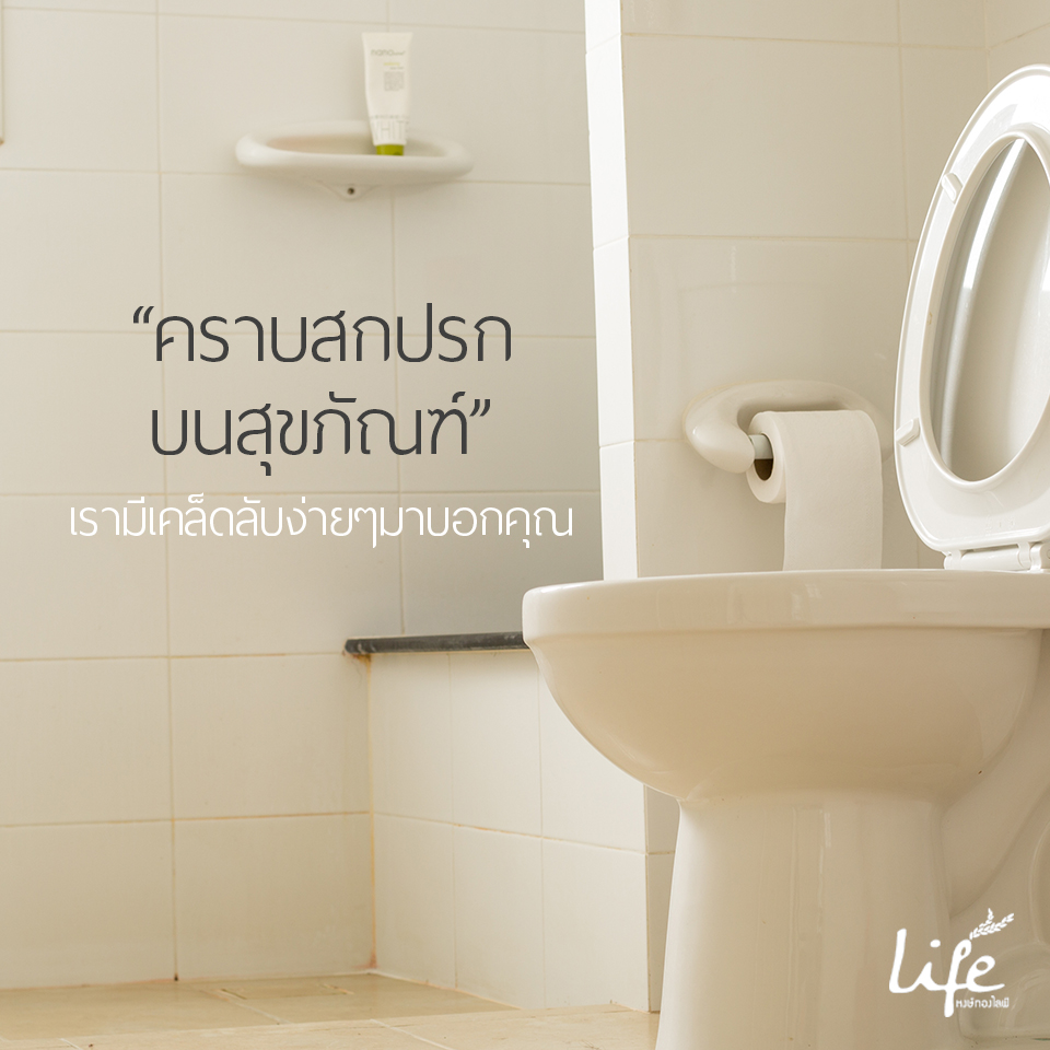 ขจัดคราบ และเชื้อรา ด้วยน้ำส้มสายชู