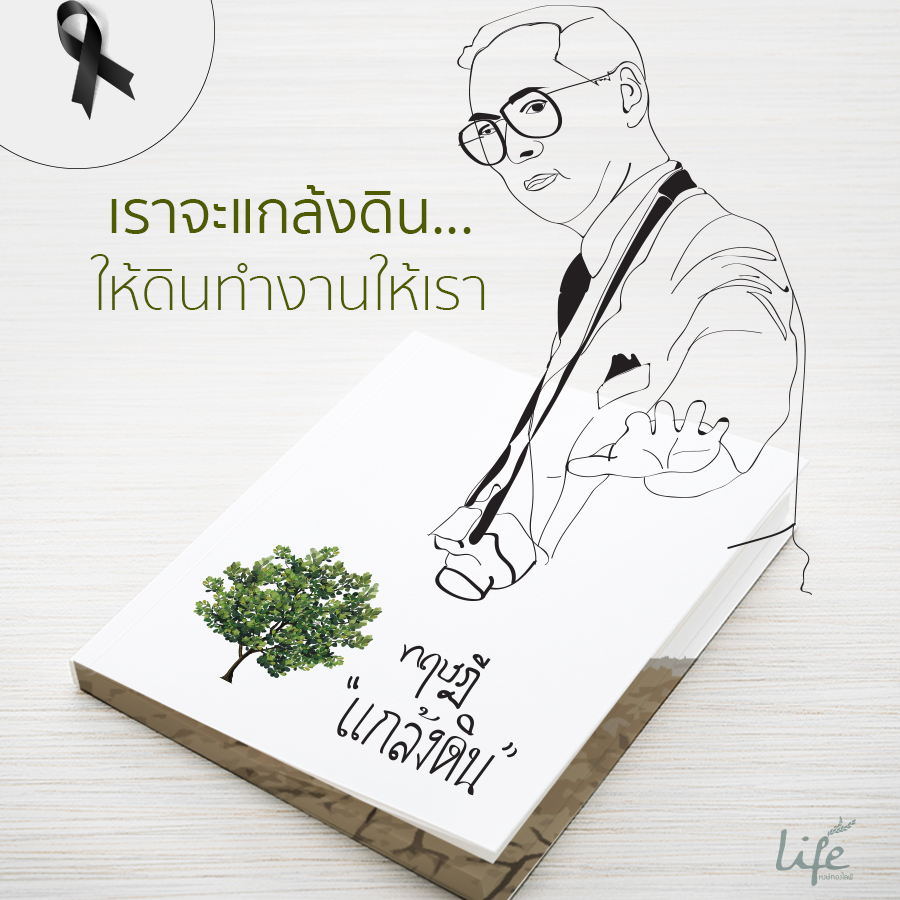 โครงการแกล้งดิน