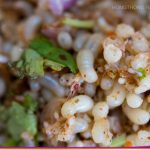 HTR-Egg-Ants-Cover