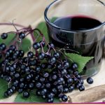 อัลเดอร์เบอร์รี่ (Elderberry)