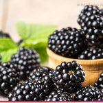 แบล็กเบอร์รี่ (Blackberry)