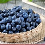 บิลเบอร์รี่ (Bilberry)