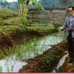 HTR-king9-rice-research-Cover