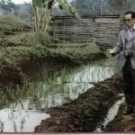 HTR-king9-rice-research-Cover-gray