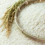 Hongthong Rice-Jasmine Rice1