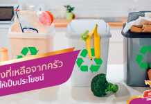 นำสิ่งที่เหลือจากครัวมาให้ใช้ประโยชน์